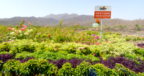 valley of flowers statue of unity