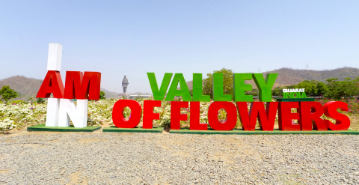 valley of flowers statue of unity