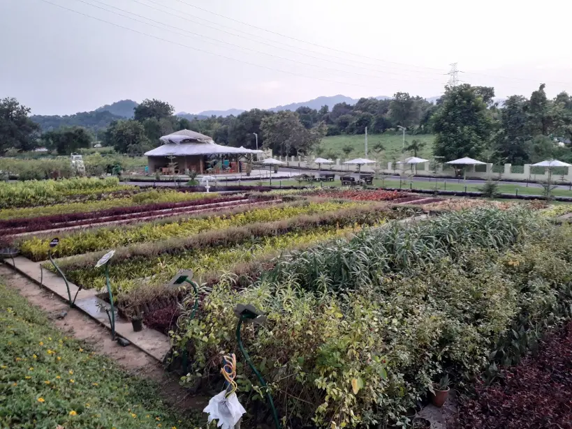 ekta garden, ekta nursery