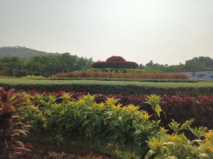 ekta nagar, Arogya Van