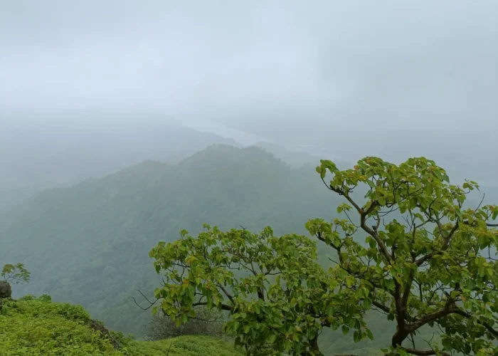 Tungai hill station in gujarat, places near statue of unity